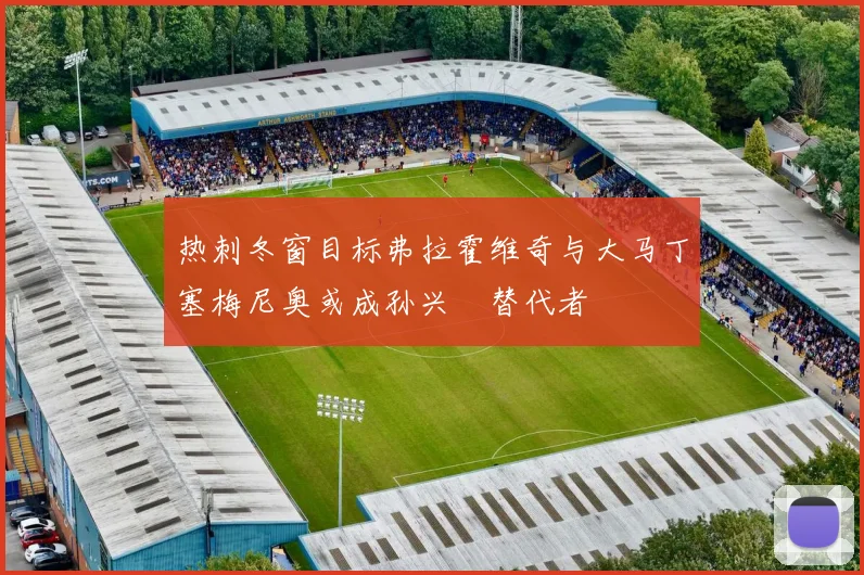 热刺冬窗目标弗拉霍维奇与大马丁塞梅尼奥或成孙兴慜替代者