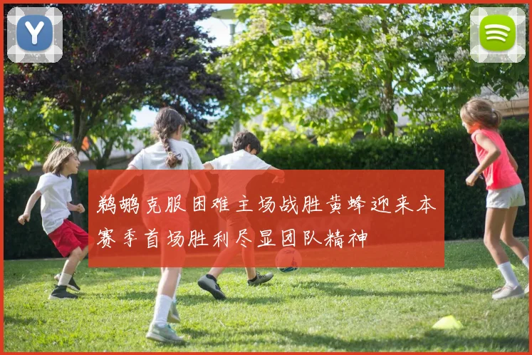 鹈鹕克服困难主场战胜黄蜂迎来本赛季首场胜利尽显团队精神
