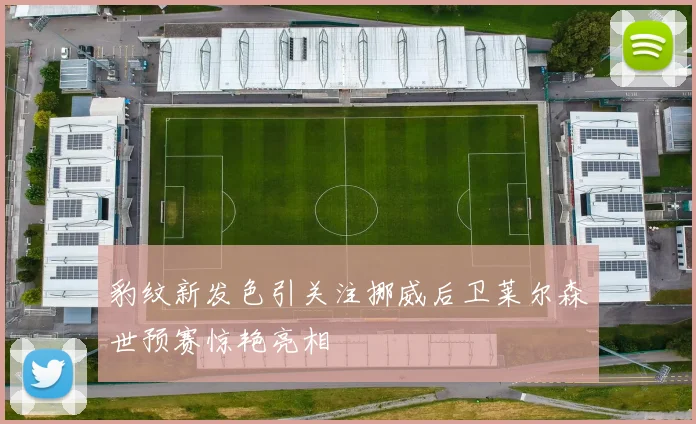 豹纹新发色引关注挪威后卫莱尔森世预赛惊艳亮相