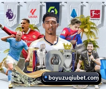 博鱼体育 APP（BOYUSPORTS）